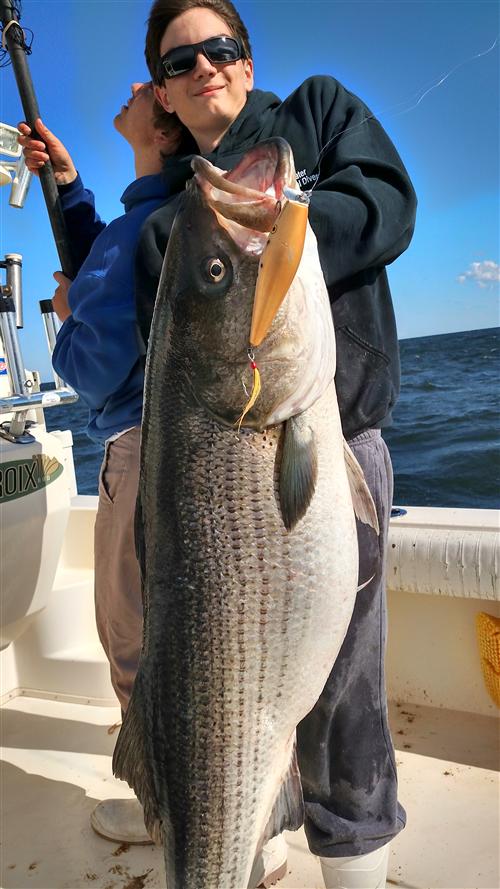 48 lbs Congrats! 